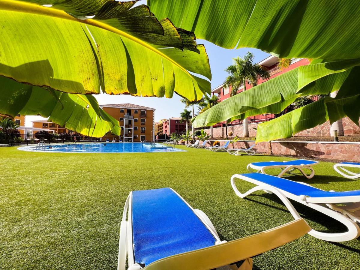 Beautiful 1 Bedroom Apartment In Palm Mar, Pm101 Eksteriør billede